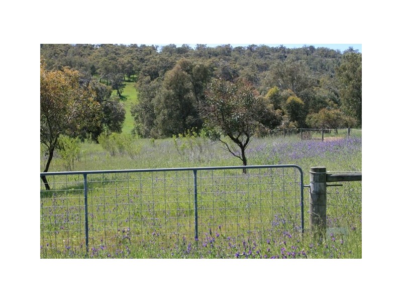 501 Pechey Rd, Jane Brook WA 6056