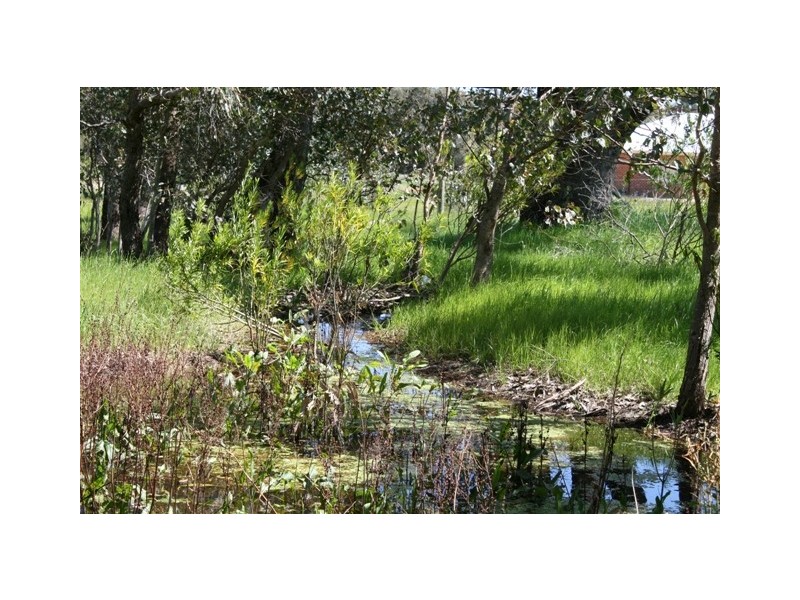 501 Pechey Rd, Jane Brook WA 6056