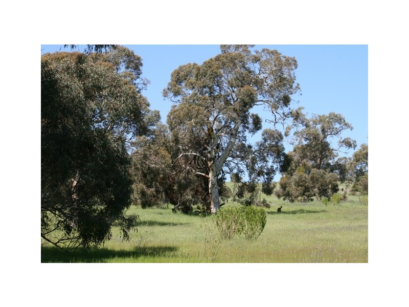 501 Pechey Rd, Jane Brook WA 6056