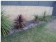 17 Tondoon Bend, Aveley WA 6069