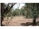 Lot 253 Hillwood Gr, Gidgegannup WA 6083