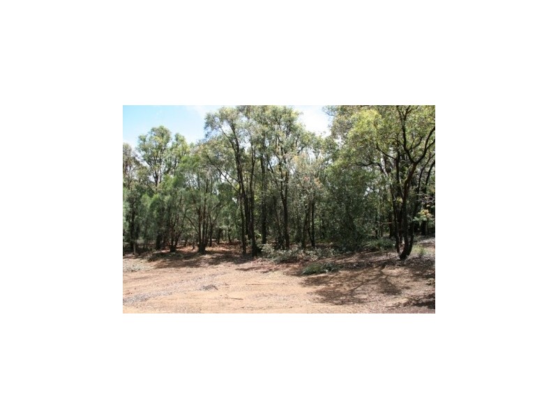 Lot 253 Hillwood Gr, Gidgegannup WA 6083
