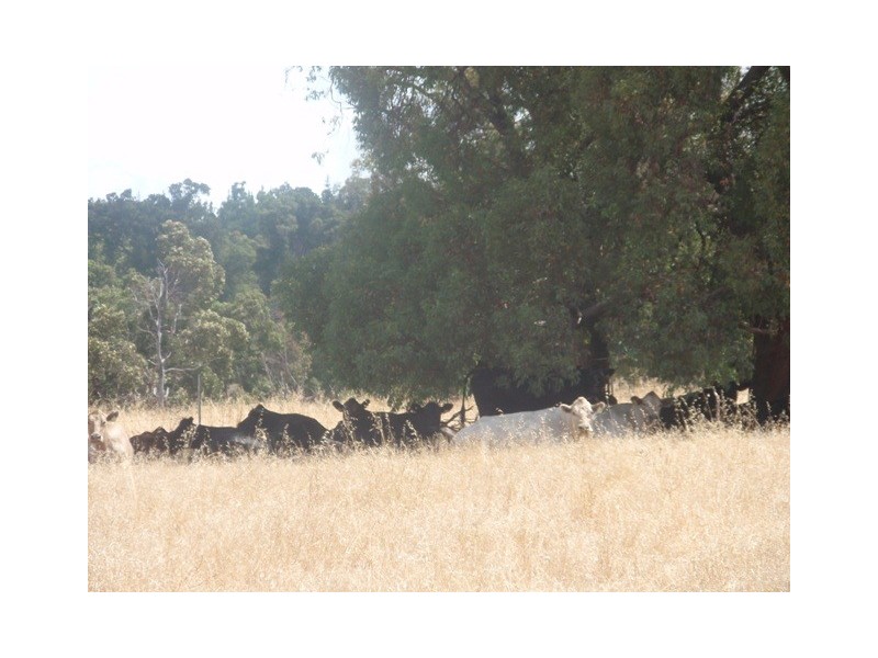 Lot 364,  Lilydale Rd, Gidgegannup WA 6083