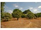 153 Haddrill Rd, Baskerville WA 6056
