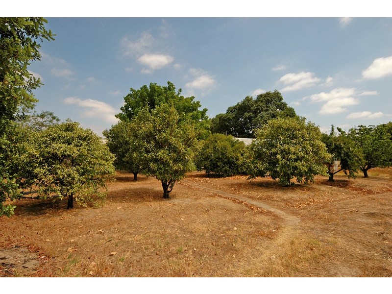 153 Haddrill Rd, Baskerville WA 6056