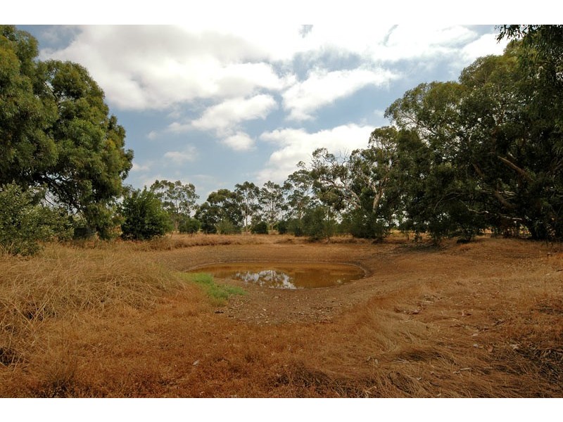 153 Haddrill Rd, Baskerville WA 6056