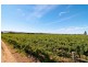 13171 West Swan Rd, Belhus WA 6069