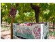 13171 West Swan Rd, Belhus WA 6069