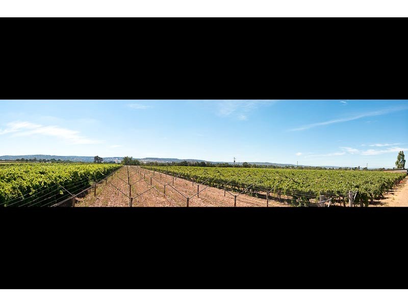 13171 West Swan Rd, Belhus WA 6069