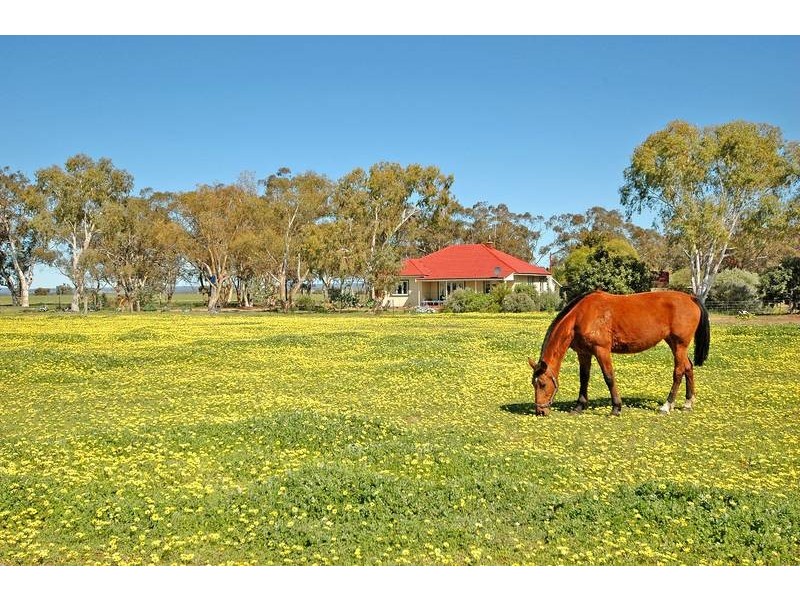 4876 Bindi-Bindi Toodyay Road, Bolgart WA 6568