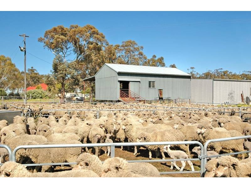 4876 Bindi-Bindi Toodyay Road, Bolgart WA 6568