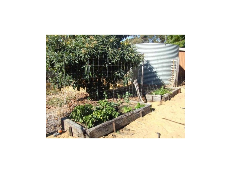 8 Taylor Street, Pingelly WA 6308