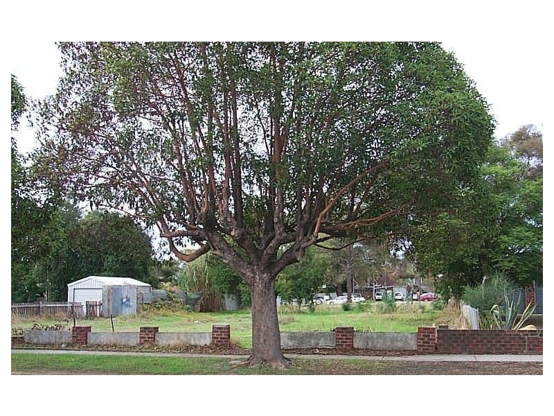 8 William Street, Midland WA 6056