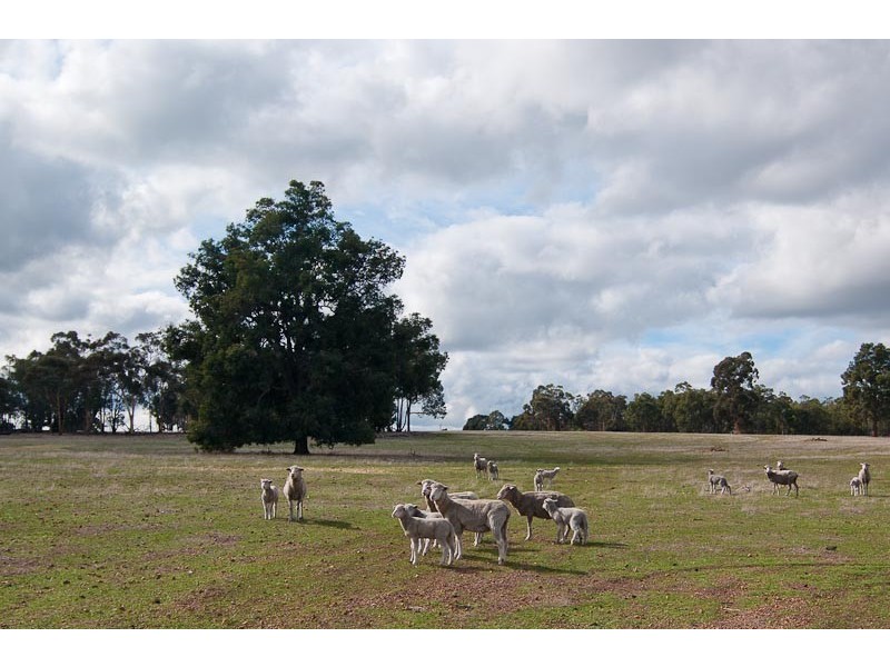 352 Chinganning Road, Bakers Hill WA 6562