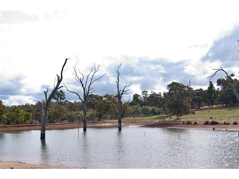 352 Chinganning Road, Bakers Hill WA 6562