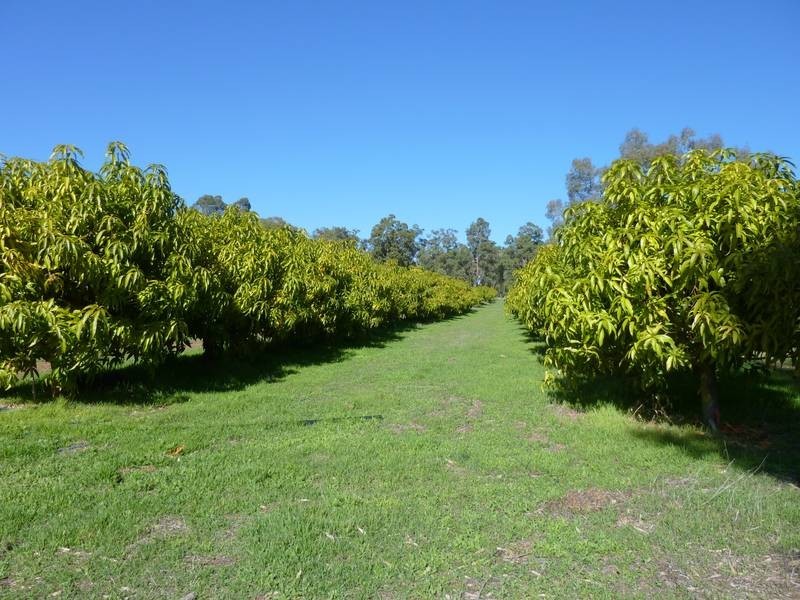 248 Reen Road, Gidgegannup WA 6083