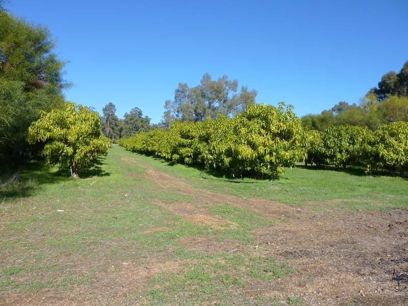 248 Reen Road, Gidgegannup WA 6083