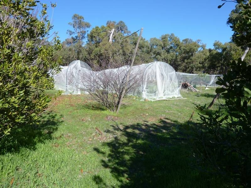 248 Reen Road, Gidgegannup WA 6083