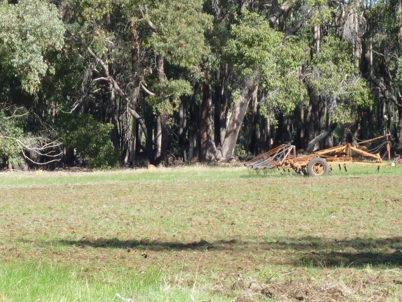 248 Reen Road, Gidgegannup WA 6083