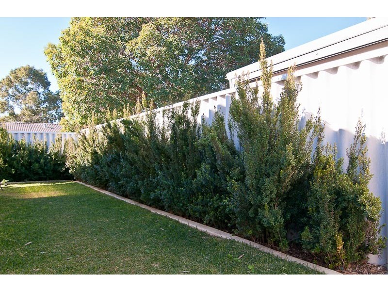 5A Margaret Street, Midland WA 6056
