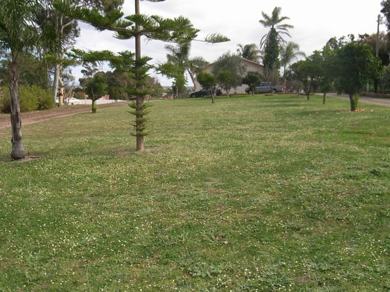 31 Weld Road (proposed lot), Swan View WA 6056