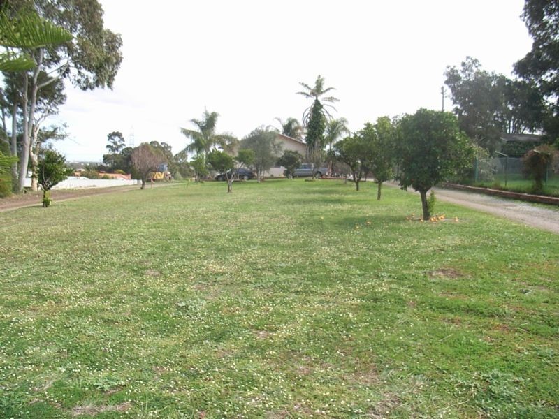 31 Weld Road (proposed lot), Swan View WA 6056