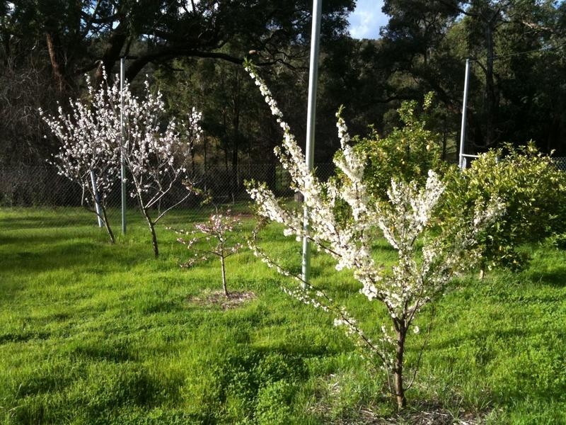 75 Clare Road, Hovea WA 6071