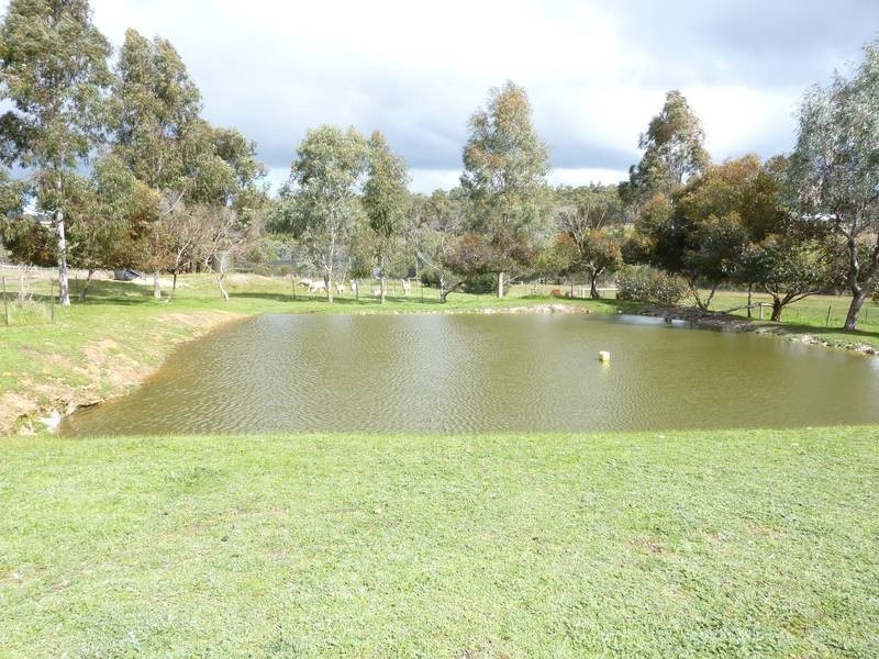 53 Hopedale Ridge, Gidgegannup WA 6083