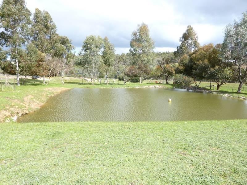 53 Hopedale Ridge, Gidgegannup WA 6083