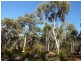 Lot 101 Reen Road, Gidgegannup WA 6083