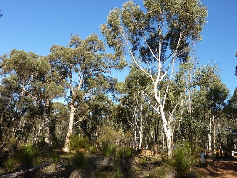 Lot 101 Reen Road, Gidgegannup WA 6083