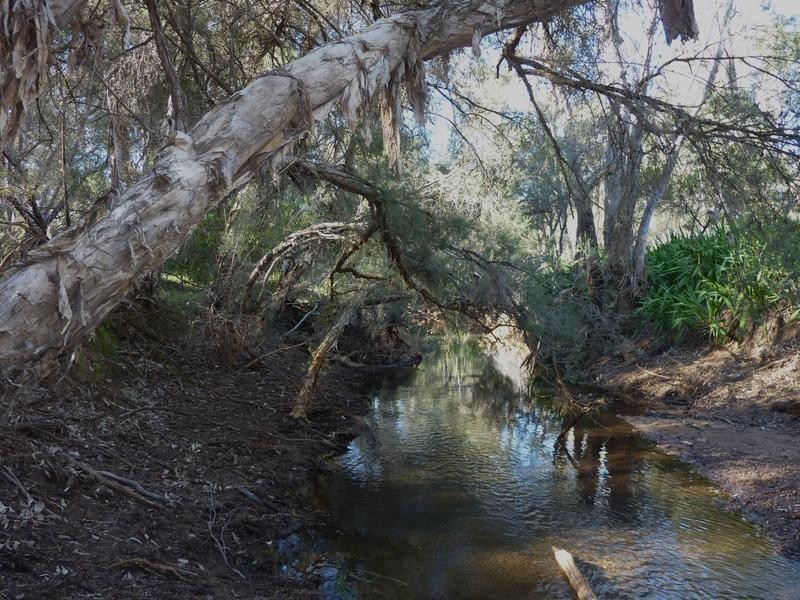 Lot 101 Reen Road, Gidgegannup WA 6083