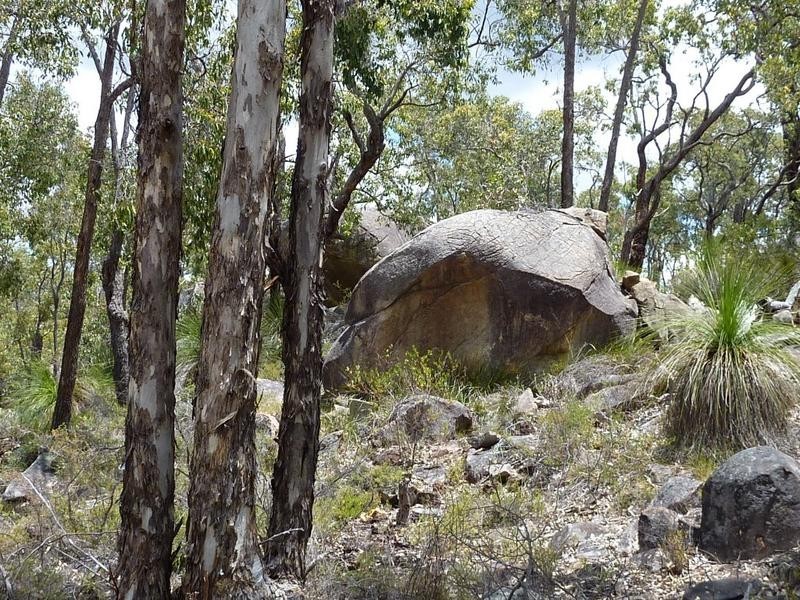 Lot 101 Reen Road, Gidgegannup WA 6083