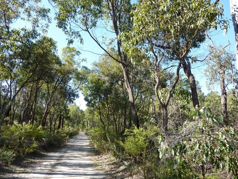 Lot 101 Reen Road, Gidgegannup WA 6083