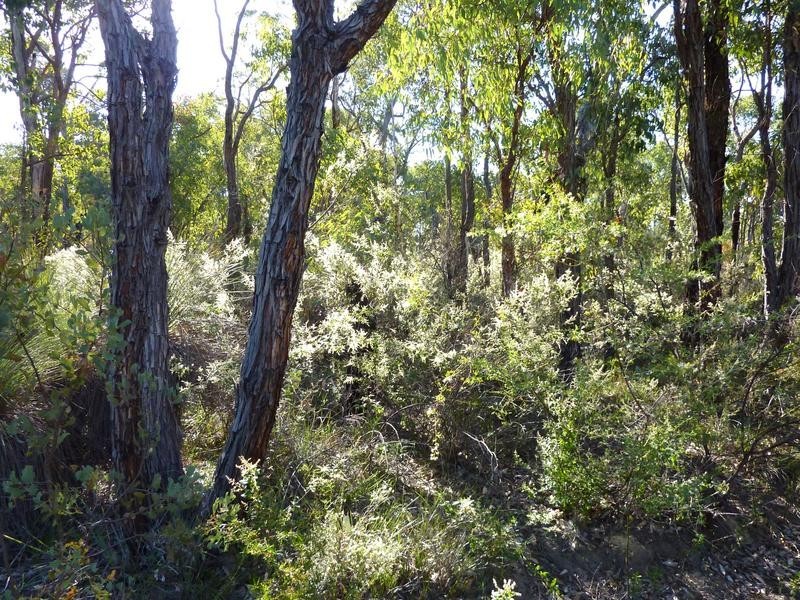 Lot 101 Reen Road, Gidgegannup WA 6083