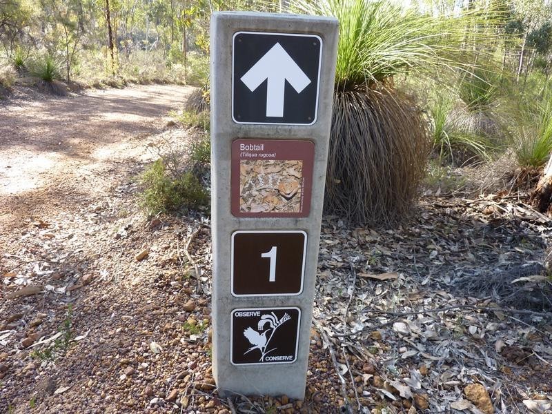 Lot 101 Reen Road, Gidgegannup WA 6083