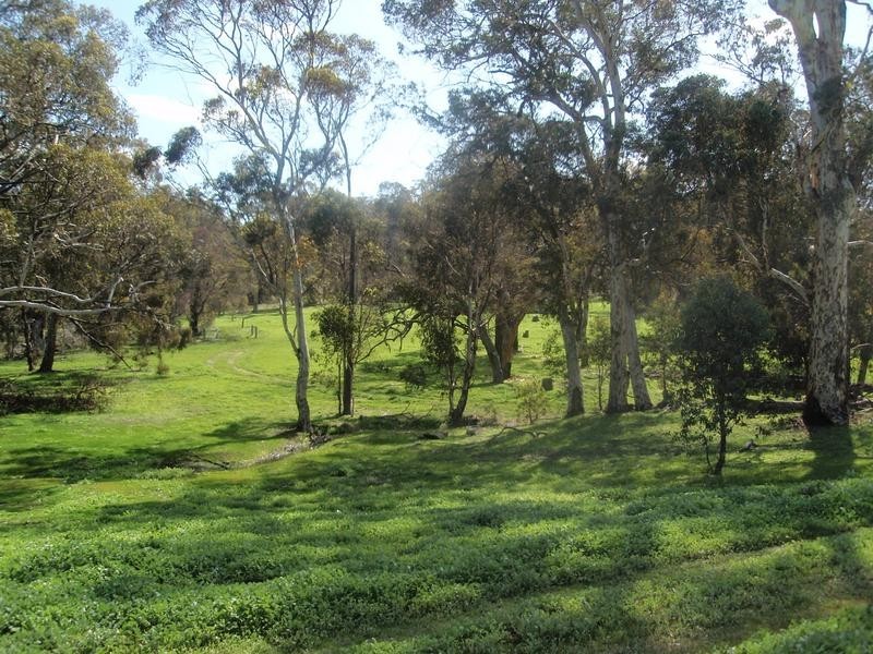 Lot 203,  Reen Road, Gidgegannup WA 6083