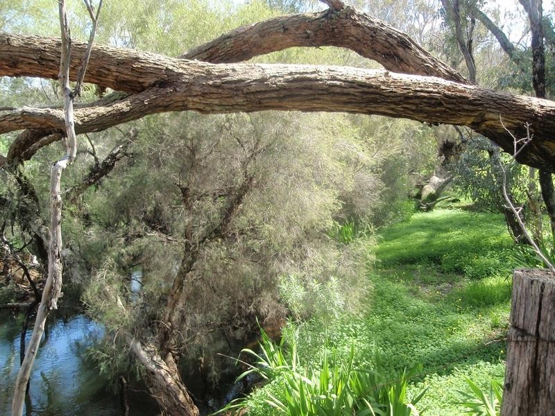 Lot 203,  Reen Road, Gidgegannup WA 6083