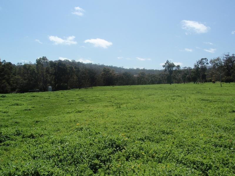 Lot 203,  Reen Road, Gidgegannup WA 6083