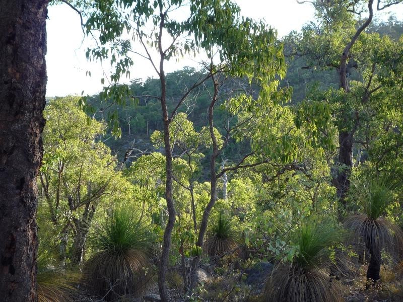Lot 203,  Reen Road, Gidgegannup WA 6083