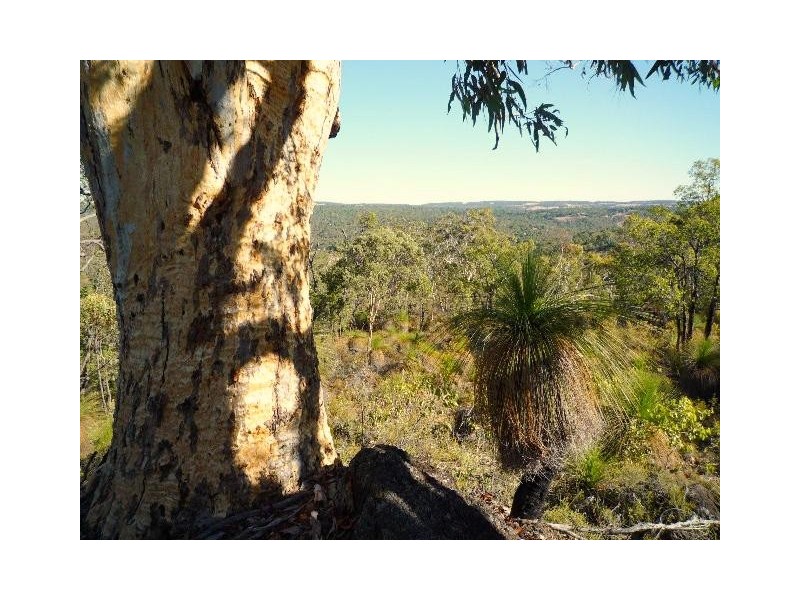 Lot 203,  Reen Road, Gidgegannup WA 6083