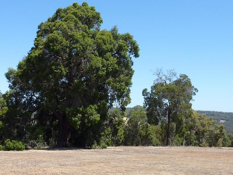 730 Reserve Road, Gidgegannup WA 6083