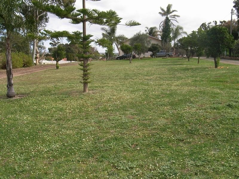 31 Weld Road (proposed lot), Swan View WA 6056