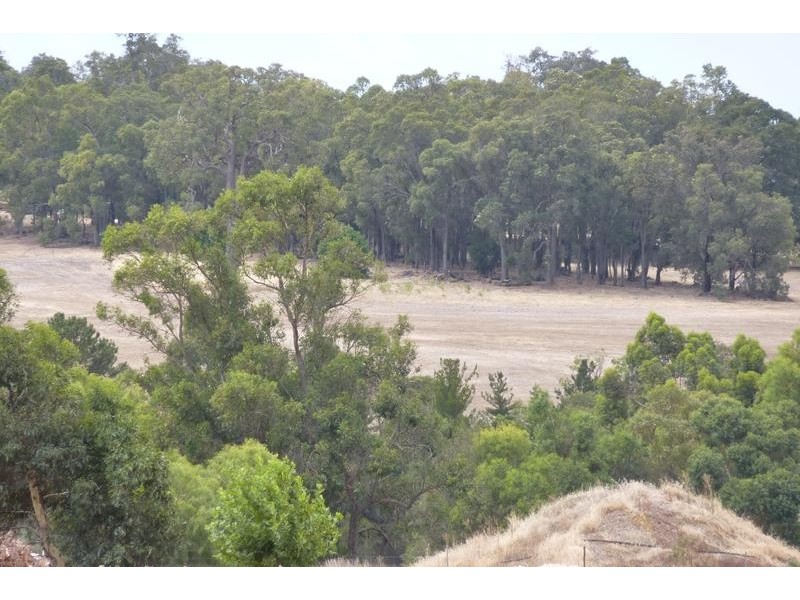 16 Strawberry Hill Drive, Gidgegannup WA 6083