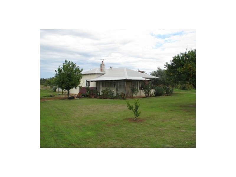 64 Swan Street, Henley Brook WA 6055
