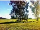 22 Utah Road, Gidgegannup WA 6083