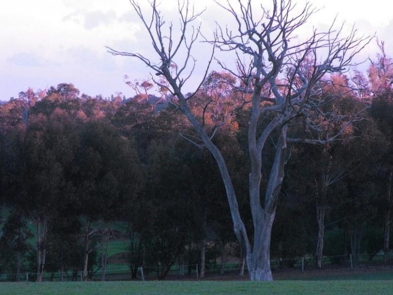 22 Utah Road, Gidgegannup WA 6083