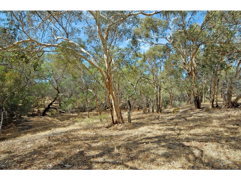 339 Padbury Avenue, Millendon WA 6056