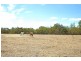339 Padbury Avenue, Millendon WA 6056