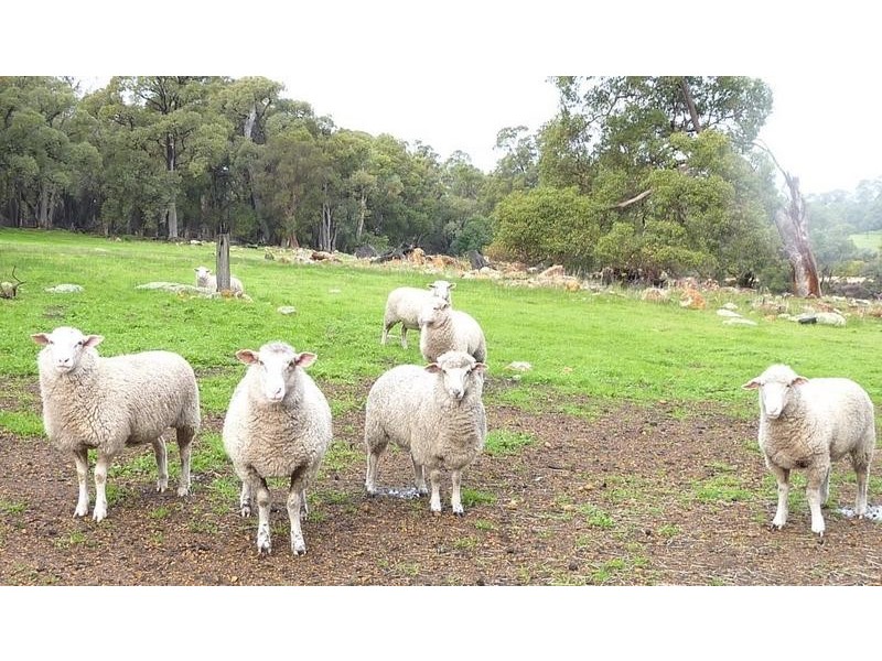 80 Burgess Road, Gidgegannup WA 6083